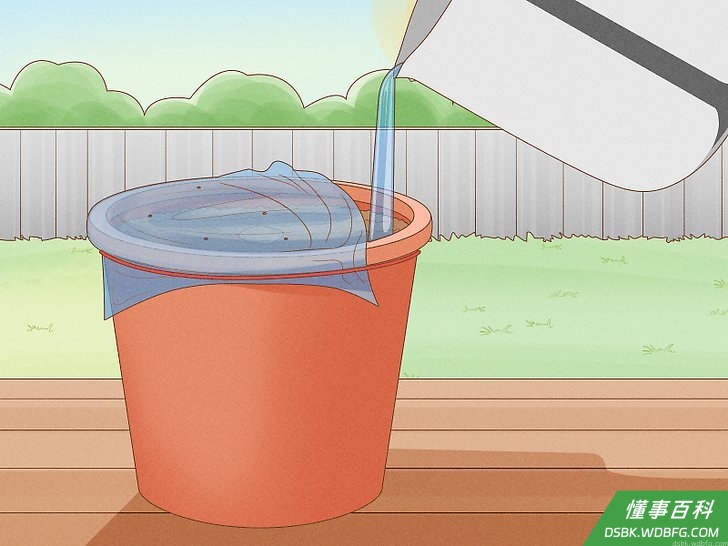 Step 10 如果发现盆土变干了,就给土壤浇点水。