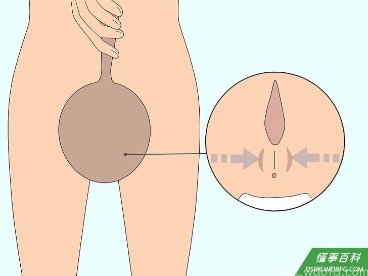 Step 3 利用手镜找到凯格尔肌肉。
