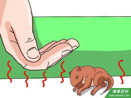 Step 4 给它保暖。