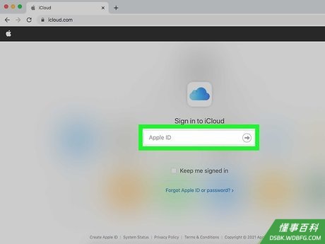 Step 2 使用你的Apple ID登录。