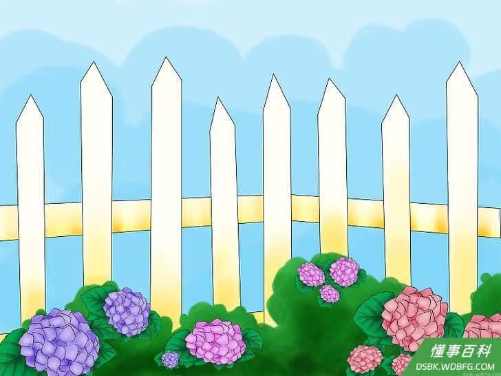 Step 2 决定种植处。