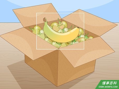 Step 4 把一只果柄发青的香蕉放在袋子或箱子里。