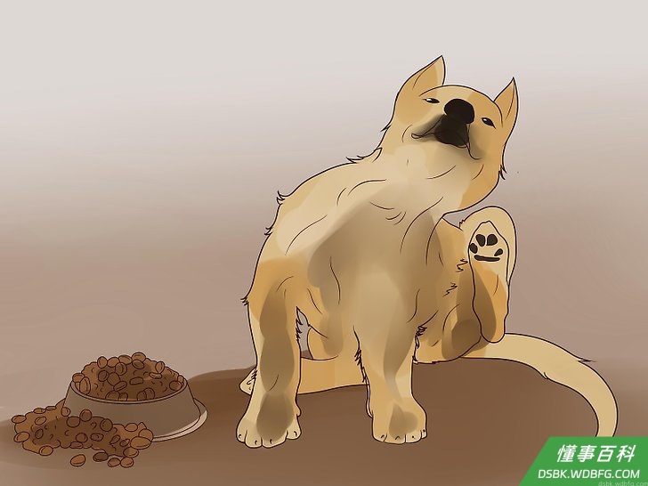 Step 3 观察瘙痒动静。