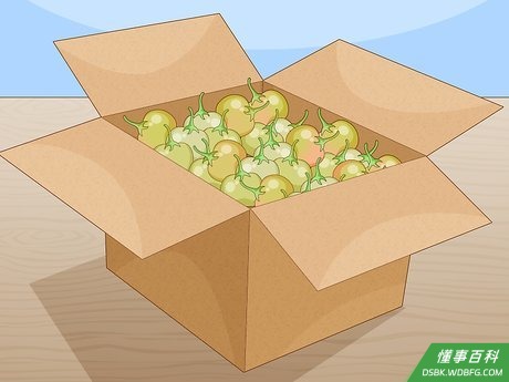 Step 3 把西红柿放在纸袋子或者纸箱子里。