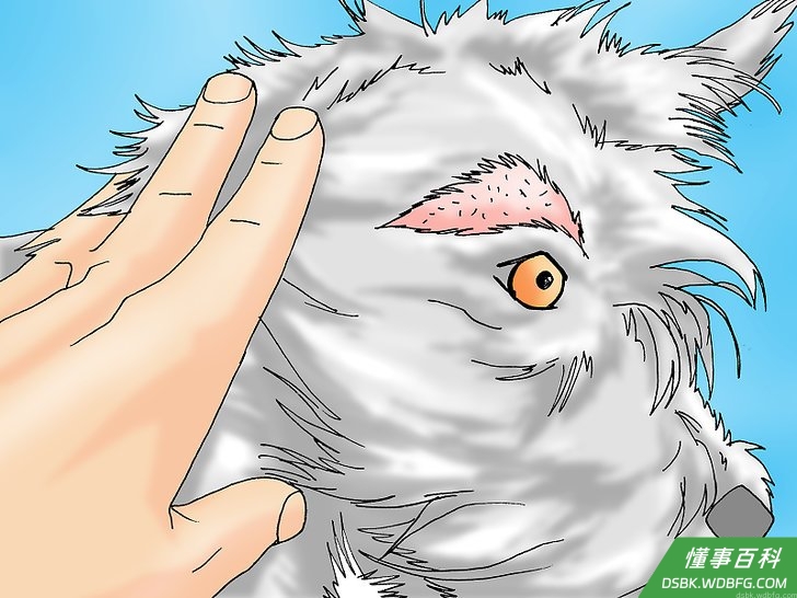 Step 2 检查局部的蠕形螨病症状。