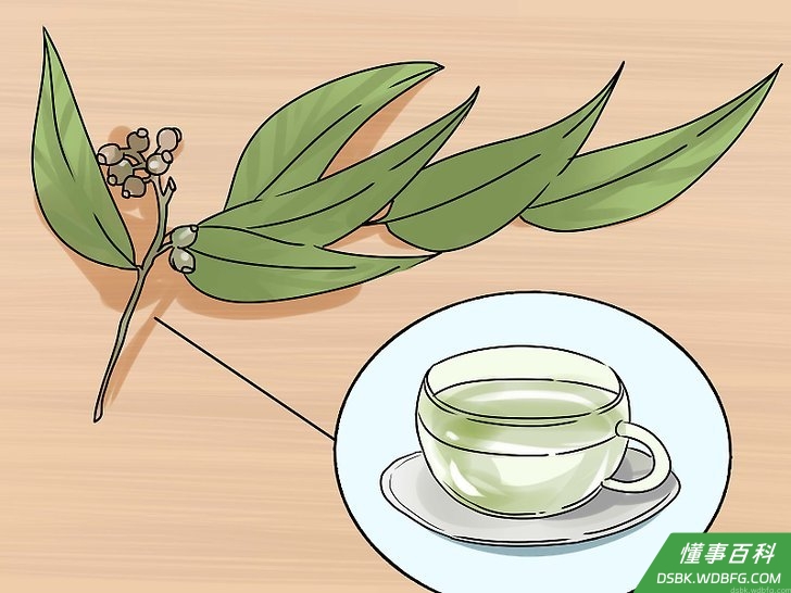 Step 6 服用桉树酊剂或用桉树油进行芳香疗法。