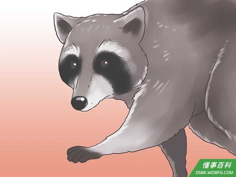 Step 2 加固鸡舍。