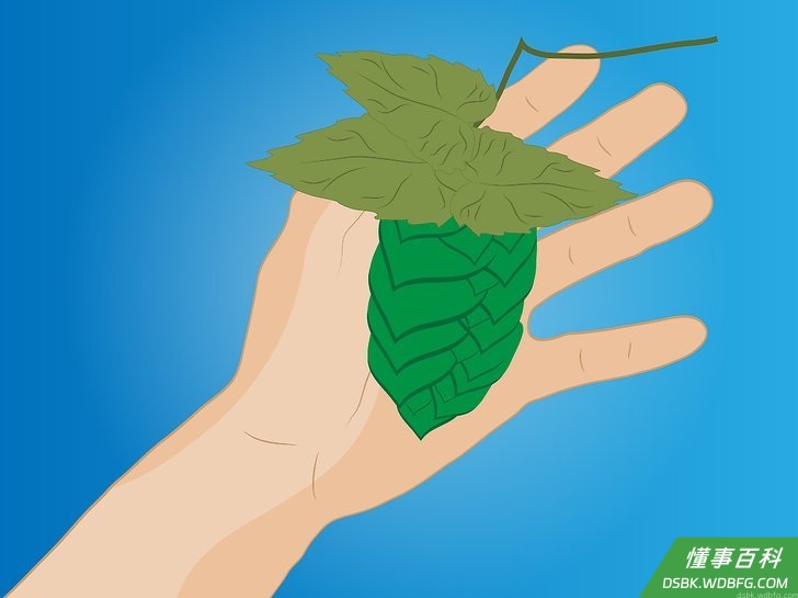 Step 1 检查球果。