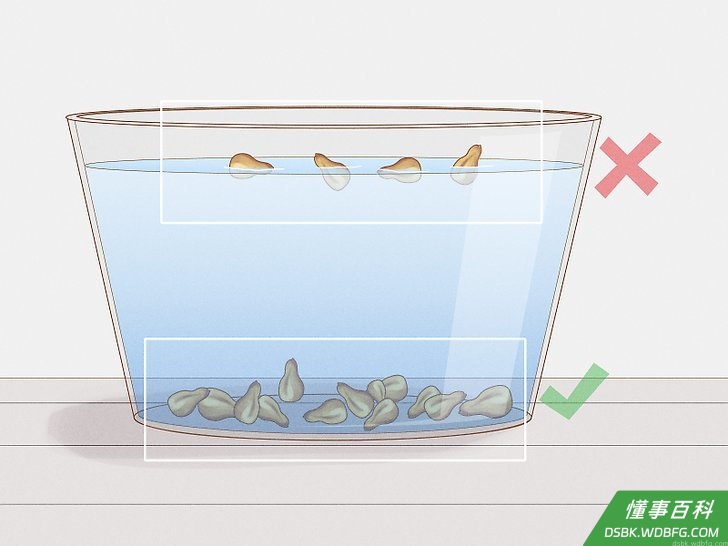 Step 3 确保种子是活的。