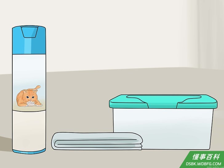 Step 4 使用猫咪专用清洁产品。