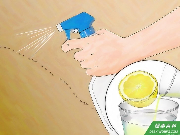 Step 3 自制柠檬汁喷剂。