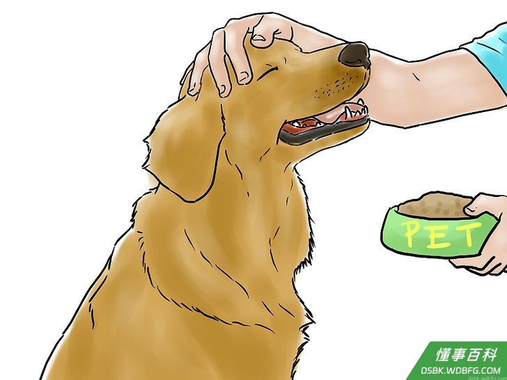 Step 4 婴儿照看或者宠物看管。