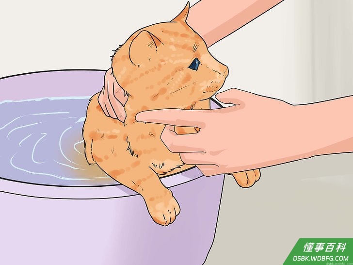 Step 3 给猫咪洗澡...