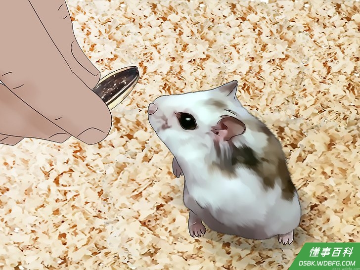 步骤5