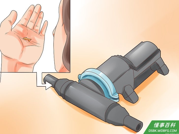 Step 2 浸渍小鱼。