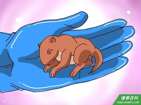 Step 3 把松鼠宝宝抱起来。