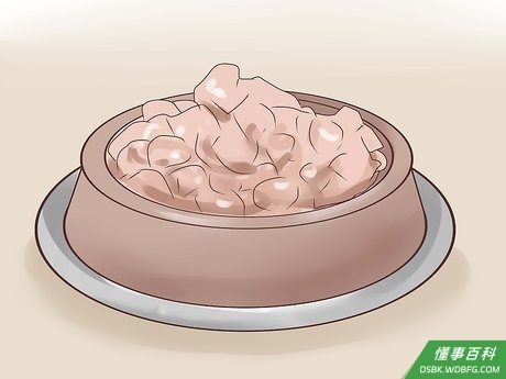 Step 2 考虑半湿猫食。