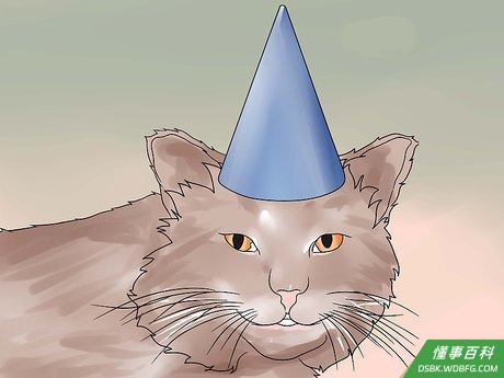 Step 2 给猫咪做帽子。