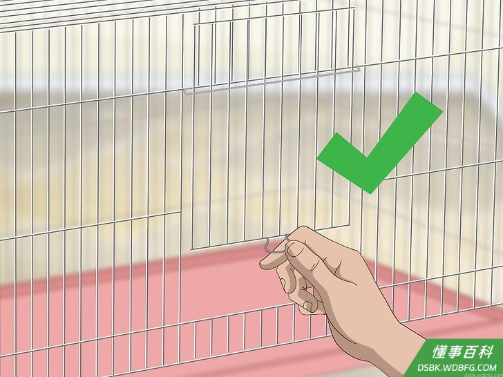 Step 4 检查看看笼子是否足够安全。