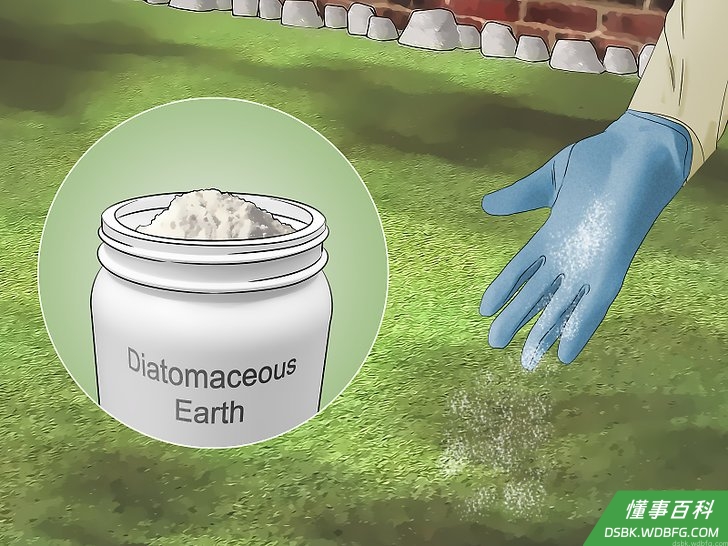 Step 2 尽可能定期打扫。
