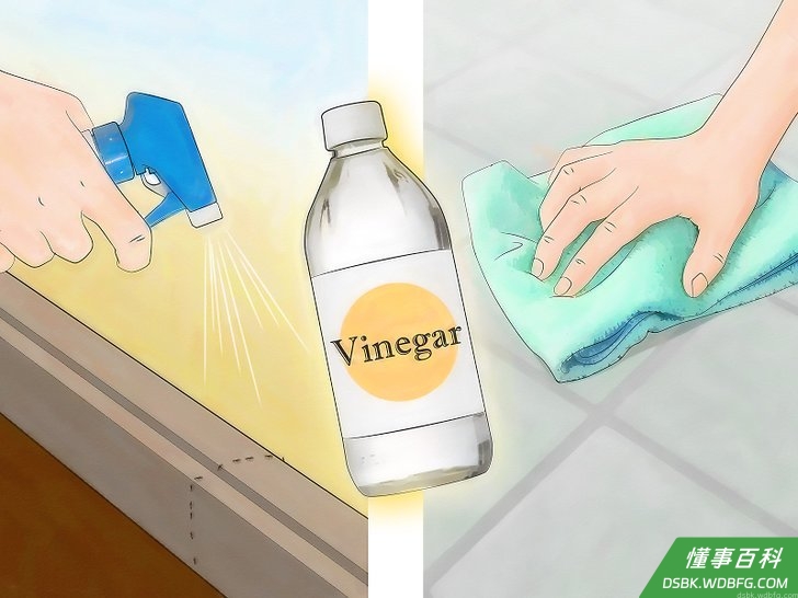 Step 2 用白醋和水。