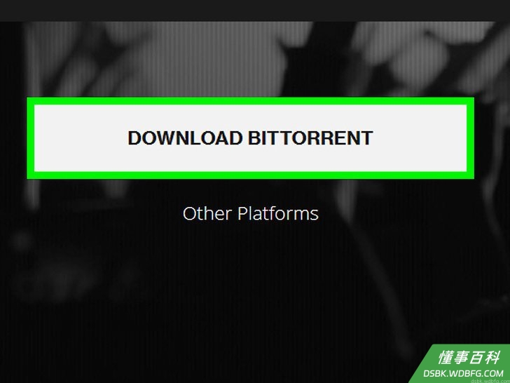Step 2 点击 下载BITTORRENT。