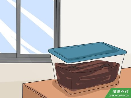 Step 4 把养殖箱放在阴凉的地方。