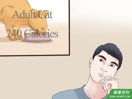 Step 1 确保满足猫咪的日常营养需求。
