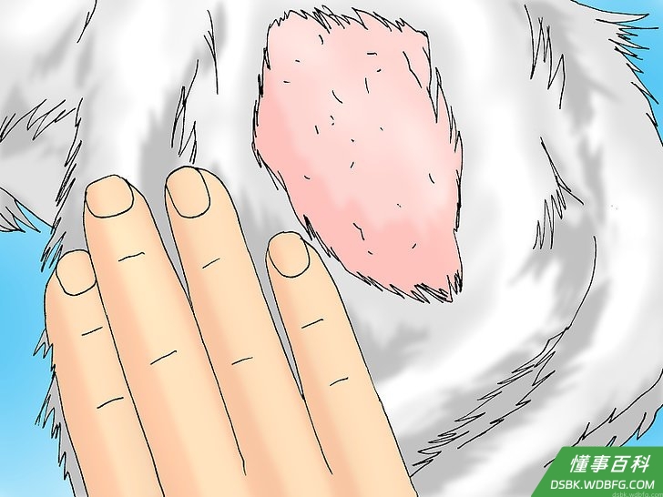 Step 3 检查普遍型蠕形螨病的症状。