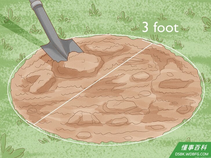 Step 4 把种植地点准备好。