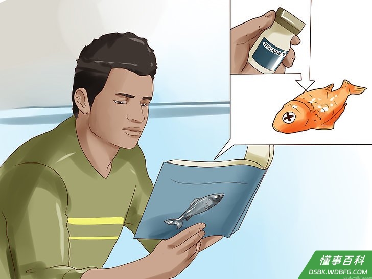 Step 5 继续使用下面提到的方法。