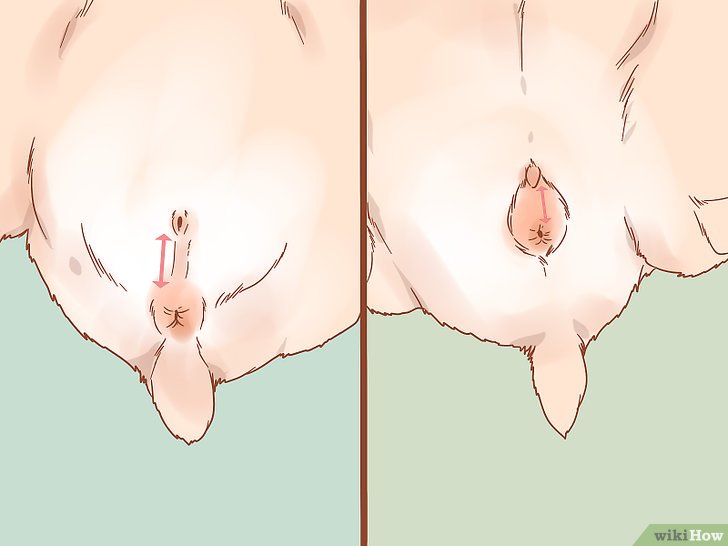 步骤9