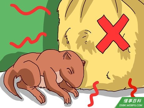 Step 4 给它保暖。