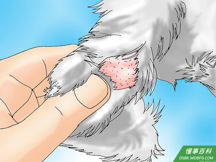Step 4 检查蠕形螨爪部皮炎的症状。