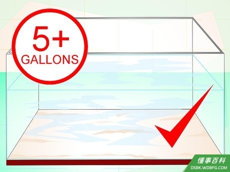 Step 2 选个合适的屋子给斗鱼。