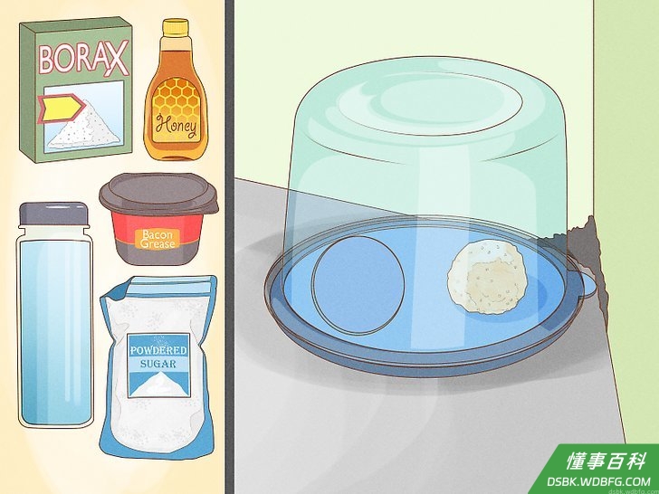Step 3 制作硼酸捕虫器。
