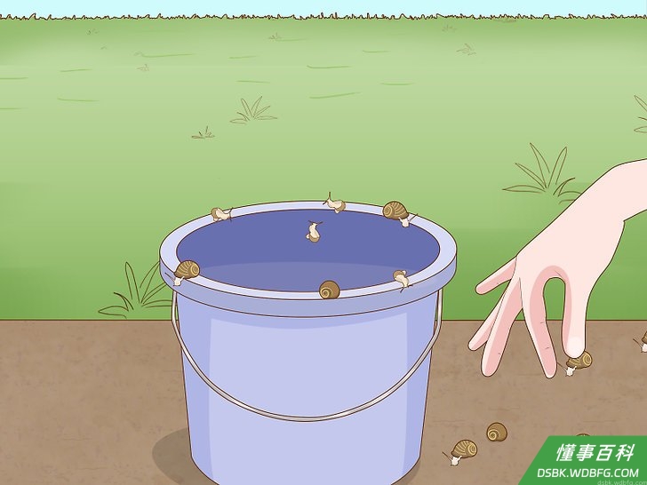 Step 2 如果你有时间,可以动手抓住蜗牛再放逐。