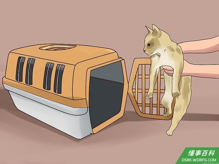 Step 4 让别的动物远离患疥螨病的狗。