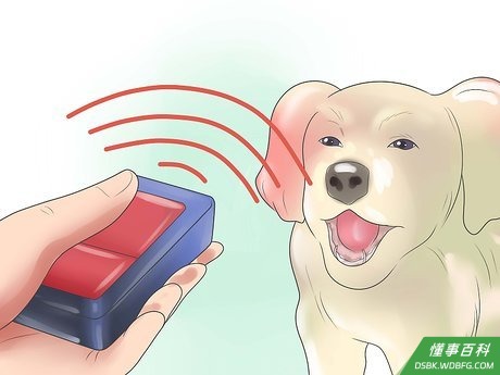 Step 2 采用声呐训练系统。