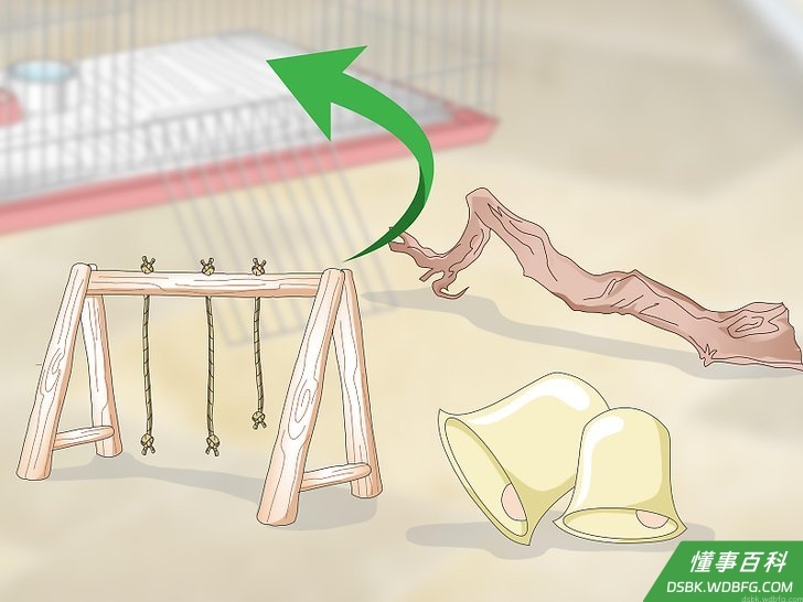 Step 3 放点玩具在鸟笼里。