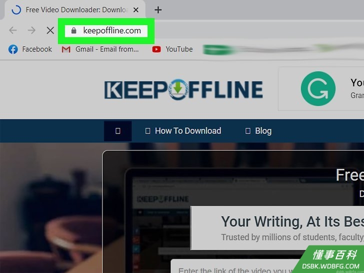 Download Videos from Dailymotion Step 12