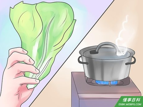 Step 4 变态期结束后，给你的宠物多喂些食物。