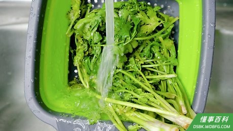 Step 1 清洗香菜。