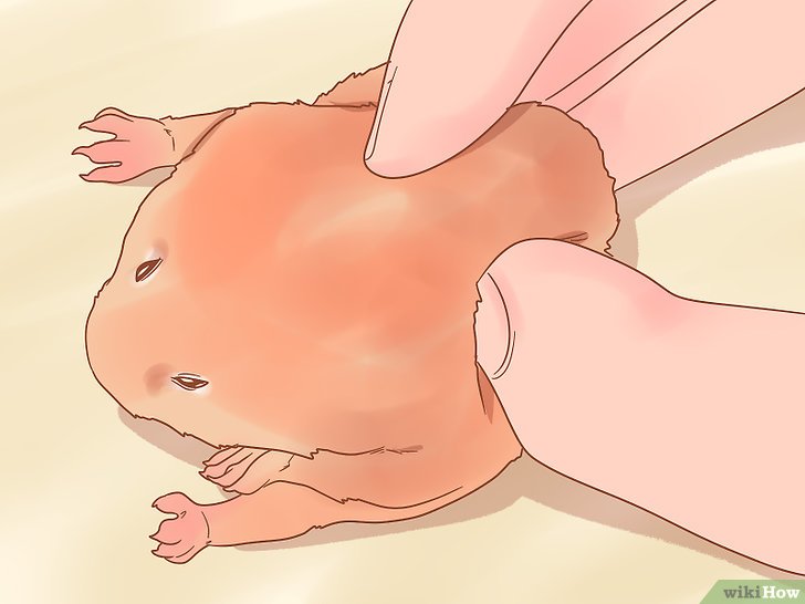 步骤3
