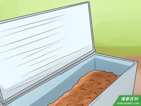 Step 4 把蚯蚓存放在冰箱里。