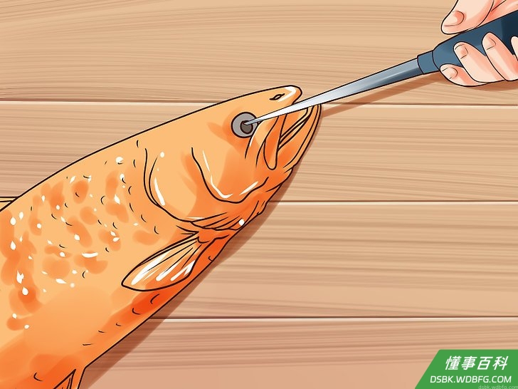 Step 5 立即破坏鱼的脑髓。
