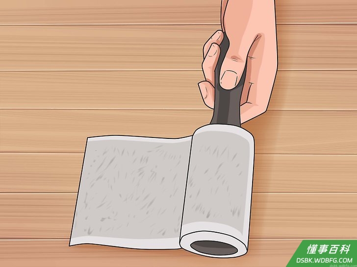 Step 4 用粘毛器或吸尘器清理衣服、家具和地板上的毛发。