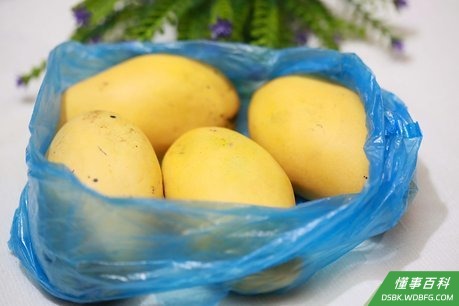 Step 2 没熟的芒果放在室内，避光储存就可以了。