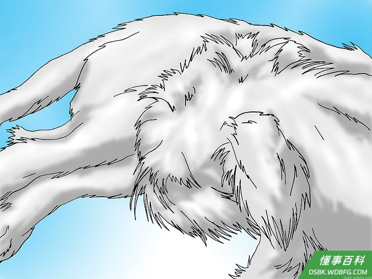 Step 1 检查疥螨病的症状。