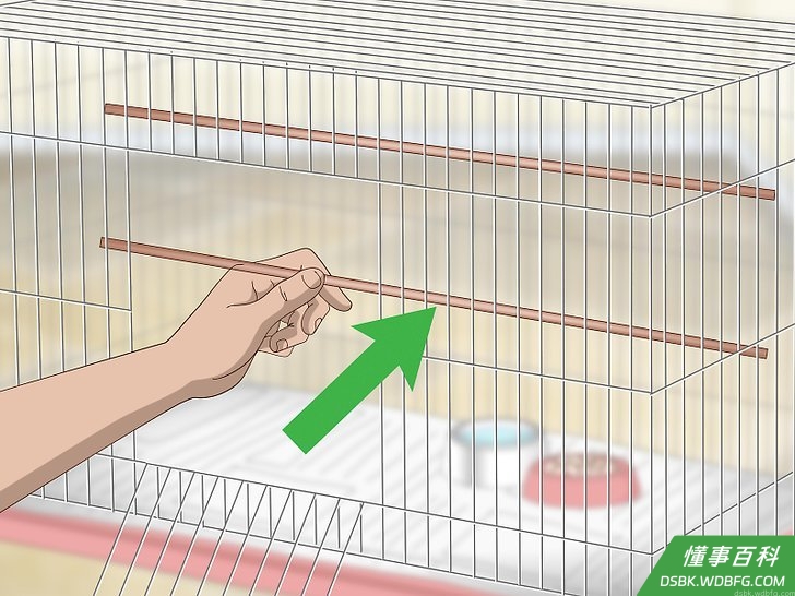 Step 2 给鸟儿两到三根栖木。